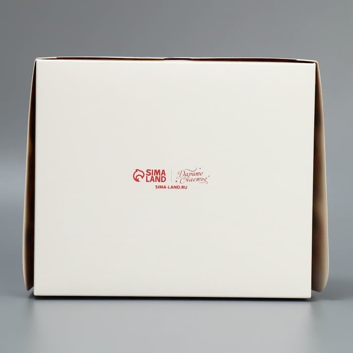 Упаковка для кондитерских изделий новогодняя «С Новым годом», 20×17×6 см