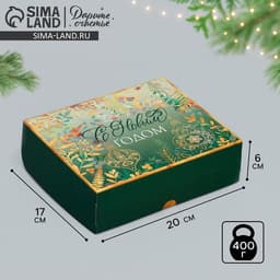 Упаковка для кондитерских изделий «С Новым годом», 20×17×6 см