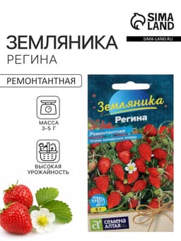 Семена Земляника «Регина», ремонтантная, 0.03 г, «Семена Алтая»