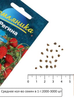 Семена Земляника «Регина», ремонтантная, 0.03 г, «Семена Алтая»