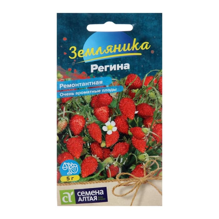 Семена Земляника «Регина», ремонтантная, 0.03 г, «Семена Алтая»