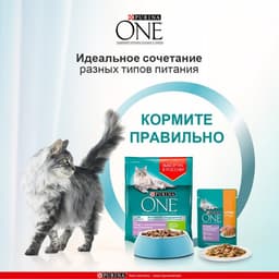 Влажный корм Purina One для кошек, курица/морковь, 75 г