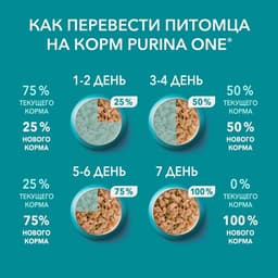 Влажный корм Purina One для кошек, курица/морковь, 75 г