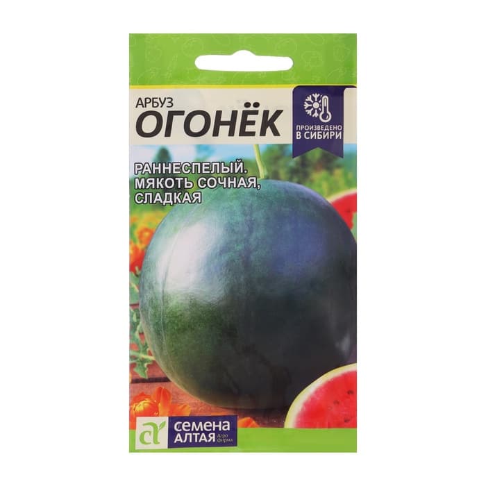 Семена Арбуз «Огонёк», 1 г, «Семена Алтая»
