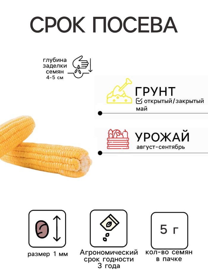 Семена Кукуруза сахарная «Тройная Сладость», 5 г, «Семена Алтая»