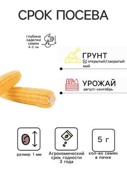 Семена Кукуруза сахарная «Тройная Сладость», 5 г, «Семена Алтая»