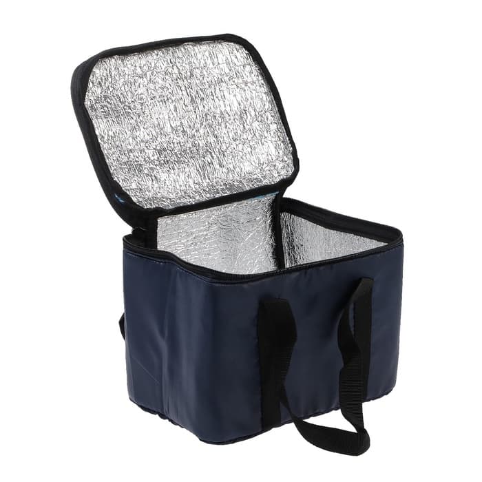 Термосумка Cartage Т-16, синяя, 10 л, 26×19×19 см