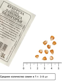 Семена Кукуруза сахарная «Лакомка Белогорья», 5 г, «Семена Алтая»
