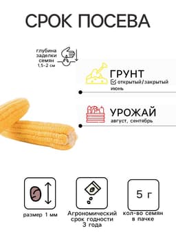 Семена Кукуруза сахарная «Сластена», 5 г, «Семена Алтая»