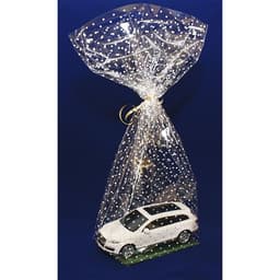 Пакет «Подарочный», с жестким дном, МИКС, 11×17×55 см