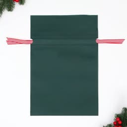 Мешок подарочный новогодний «Рождественский гость», 27×40.5 см
