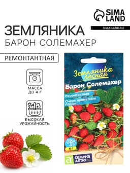 Семена Земляника «Барон Солемахер», ремонтантная, 0.03 г, «Семена Алтая»