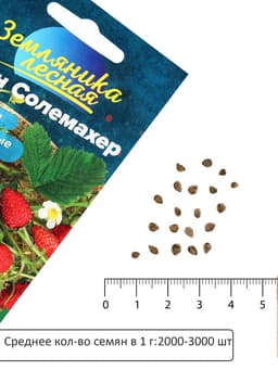 Семена Земляника «Барон Солемахер», ремонтантная, 0.03 г, «Семена Алтая»