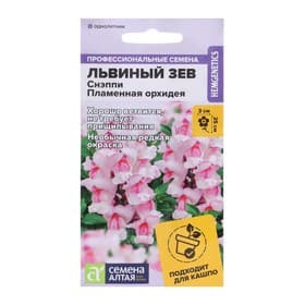 Семена цветов Львиный зев «Снэппи Пламенная орхидея», 7 шт.
