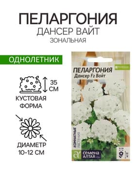 Семена цветов Пеларгония «Дансер Вайт», зональная, 3 шт., «Семена Алтая»