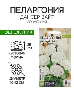 Семена цветов Пеларгония «Дансер Вайт», зональная, 3 шт., «Семена Алтая»