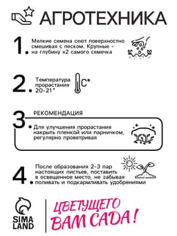 Семена цветов Пеларгония «Дансер Вайт», зональная, 3 шт., «Семена Алтая»