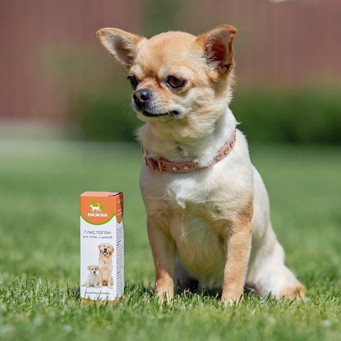 Лечебные травы «Пижон», глистогон, для собак, 50 мл