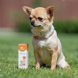 Лечебные травы «Пижон», глистогон, для собак, 50 мл