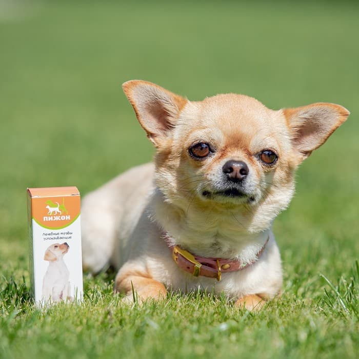 Лечебные травы успокаивающие для собак «Пижон», 50 мл