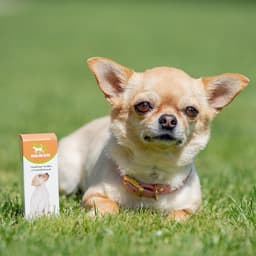 Лечебные травы успокаивающие для собак «Пижон», 50 мл