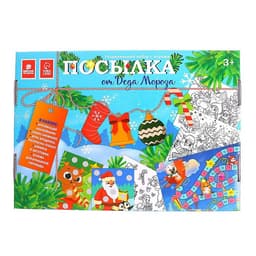 Новогодний подарок. Развивающий набор с играми «Посылка от Деда Мороза»