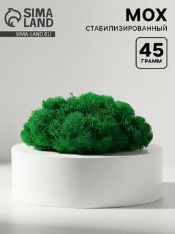 Мох декоративный стабилизированный «Ярко-зелёный» 45 г (±5 г)