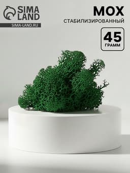 Мох стабилизированный «Ель» 45 г (±5 г)
