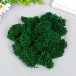 Мох стабилизированный «Ель» 45 г (±5 г)