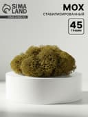 Мох стабилизированный "Крапива" 45 гр (+-5 гр)