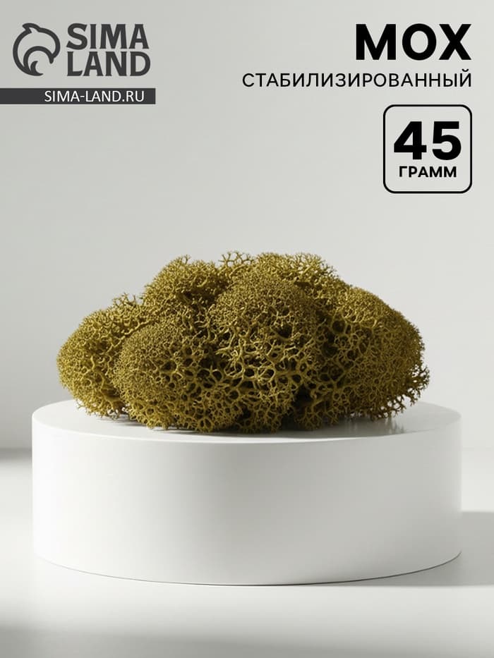 Мох стабилизированный "Крапива" 45 гр (+-5 гр)