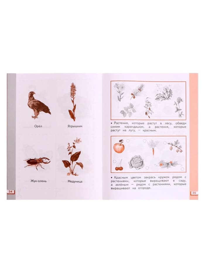 Рабочая тетрадь «Окружающий мир №2», новое оформление, 1 класс, Ивченкова Г.Г., ФГОС