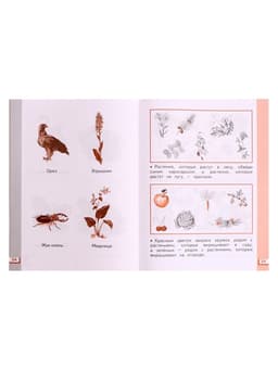 Рабочая тетрадь «Окружающий мир №2», новое оформление, 1 класс, Ивченкова Г.Г., ФГОС