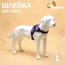 Шлейка К7, размер L, ОГ 64-86 см, вес 18- 27.5 кг, мягкая, светоотражающая, фиолетовая