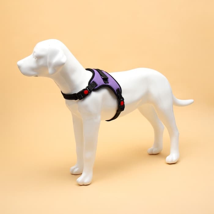 Шлейка К7, размер L, ОГ 64-86 см, вес 18- 27.5 кг, мягкая, светоотражающая, фиолетовая