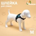 Шлейка К7, размер М, ОГ 52-66 см, вес 9.5-17.5 кг, мягкая, светоотражающая, голубая