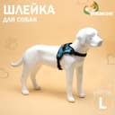 Шлейка К7, размер L, ОГ 64-86 см, вес 18- 27.5 кг, мягкая, светоотражающая, голубая