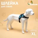 Шлейка К7, размер XL, ОГ 74-92 см, вес 28-47.5 кг, мягкая, светоотражающая, голубая