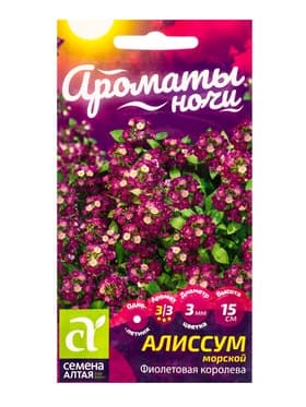Семена цветов Алиссум «Фиолетовая Королева», 0.05 г, «Семена Алтая»