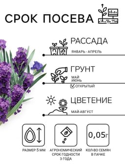 Семена цветов Лаванда «Пурпурный колос», узколистная, 5 шт., «Семена Алтая»
