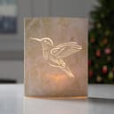 Светодиодная фигура «Колибри» 13×16×5 см, картон, от батареек ААх2, свечение тёплое белое