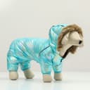 Комбинезон «Глянец», размер 8, ДС 23, ОГ 30, ОГ 22, голубой