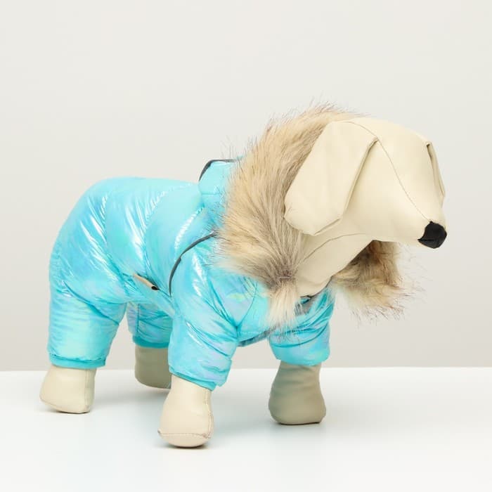 Комбинезон «Глянец», размер 8, ДС 23, ОГ 30, ОГ 22, голубой