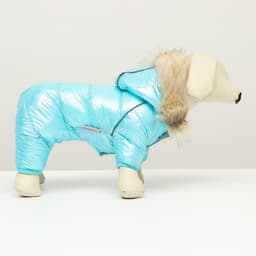 Комбинезон «Глянец», размер 8, ДС 23, ОГ 30, ОГ 22, голубой