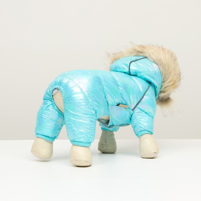 Комбинезон «Глянец», размер 8, ДС 23, ОГ 30, ОГ 22, голубой