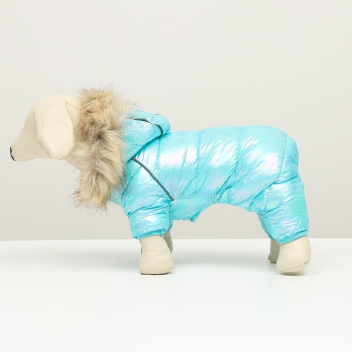 Комбинезон «Глянец», размер 8, ДС 23, ОГ 30, ОГ 22, голубой