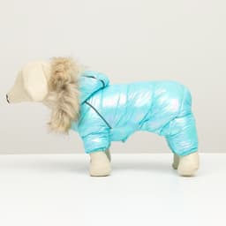 Комбинезон «Глянец», размер 8, ДС 23, ОГ 30, ОГ 22, голубой