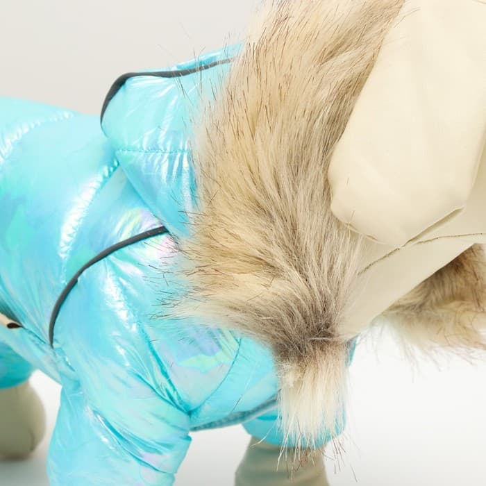 Комбинезон «Глянец», размер 8, ДС 23, ОГ 30, ОГ 22, голубой