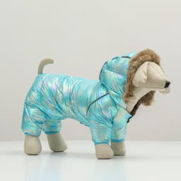 Комбинезон «Глянец», размер 8, ДС 23, ОГ 30, ОГ 22, голубой