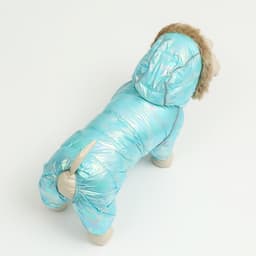 Комбинезон «Глянец», размер 8, ДС 23, ОГ 30, ОГ 22, голубой